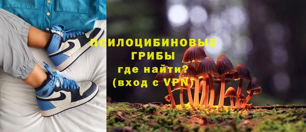 альфа пвп Горнозаводск