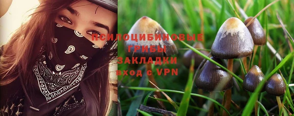 альфа пвп Горнозаводск