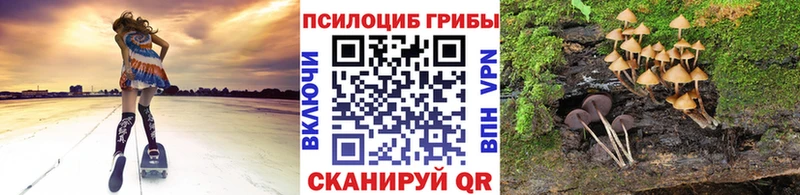 Галлюциногенные грибы MAGIC MUSHROOMS  Купить закладки  Саянск 